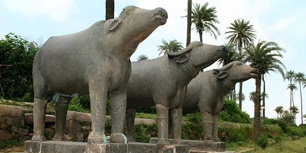 ACHLESHWAR ACHLESHWAR