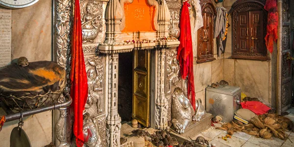 KARNI MATA TEMPLE KARNI MATA TEMPLE