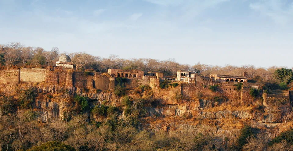 RANTHAMBORE FORT RANTHAMBORE FORT